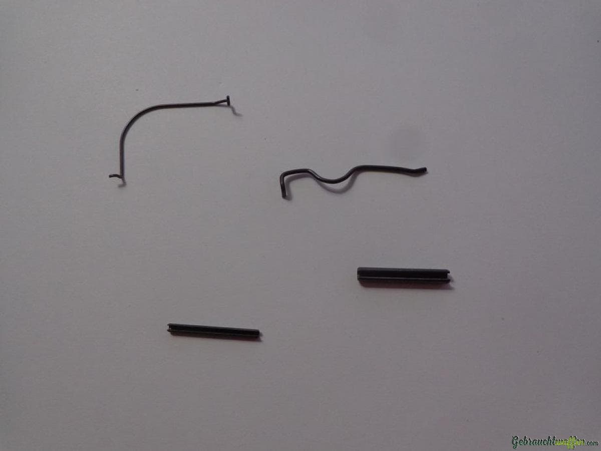 SIG SAUER Feder + Stifte SET