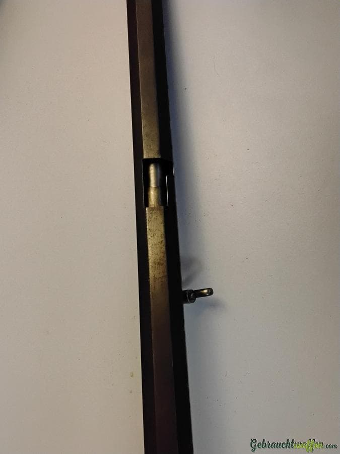 Zimmerstutzer — Bild 4