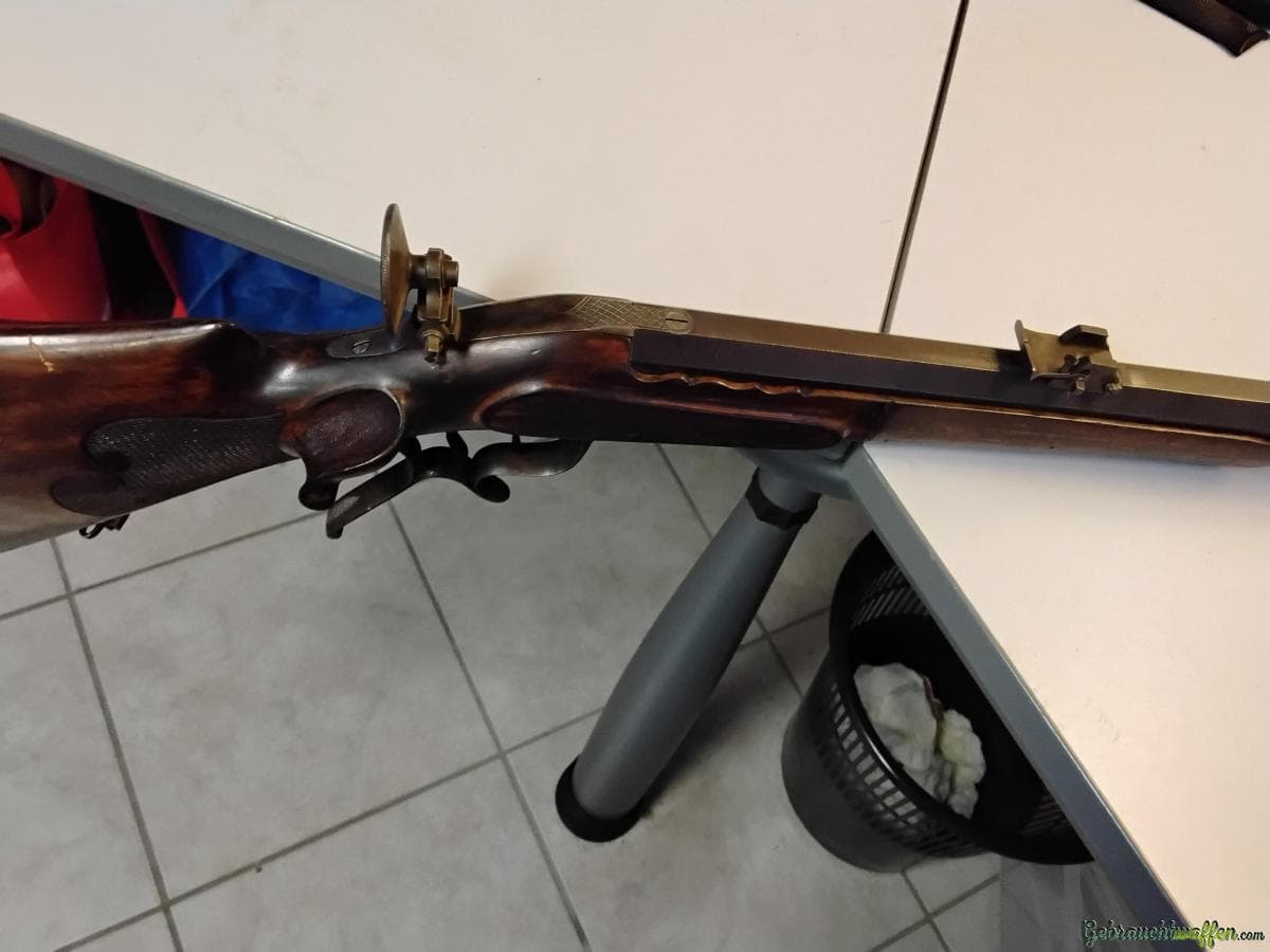 Zimmerstutzer — Bild 6