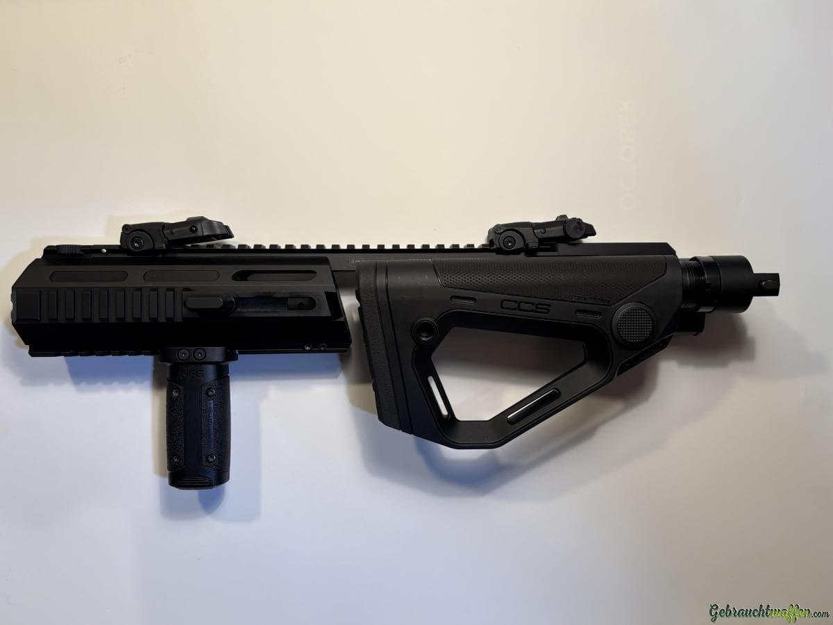 HERA TRIARII — Bild 4